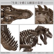 T-Rex Tyrannosaurus Dinosaur Skeleton 1/32 Scale Model Kit by Bandai Japan