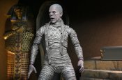 Universal Monsters Ultimate Mummy (Color) Action Figure Neca