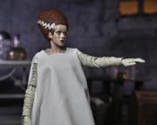 Universal Monsters Ultimate Bride of Frankenstein (Color) Action Figure Neca