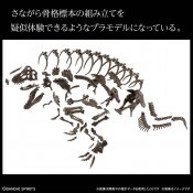 T-Rex Tyrannosaurus Dinosaur Skeleton 1/32 Scale Model Kit by Bandai Japan