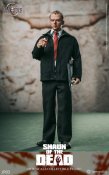 Shaun of the Dead 1/6 Scale Action Figure