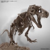 T-Rex Tyrannosaurus Dinosaur Skeleton 1/32 Scale Model Kit by Bandai Japan