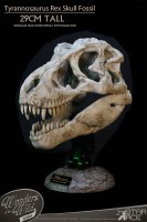 Tyrannosaurus Rex Skull Museum Display Statue by Star Ace Wonders of the Wild Collection