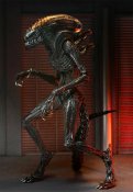 Alien Romulus 2024 Ultimate Scorched Xenomorph 7-Inch Scale Action Figure