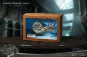 Nautilus Wonders of the Wild Series Miniature Frame w/ 1:1 Scale Replica (Normal Ver.)