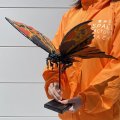 Godzilla vs. Mothra Middle Battra Adult Model Kit By Kaiyodo