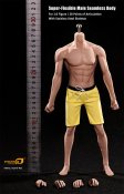 Male Body Seamless 1/6 Scale Body Super Flexible Asia Version by Phicen