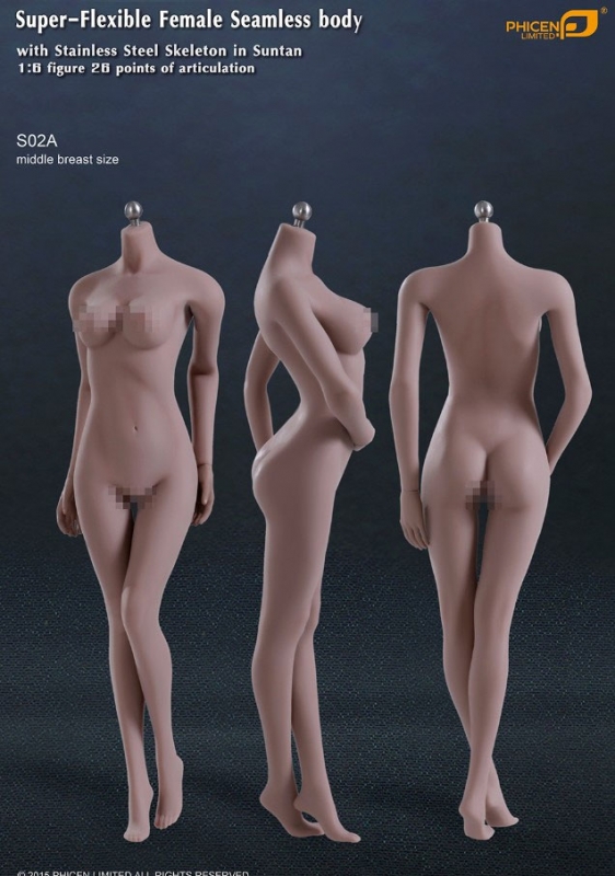 Female Body Super-Flexible Female Seamless 1/6 Scale Body with Stainless  Steel Skeleton in Suntan/Medium Breast by Phicen [PL-MB2015-S02A] Female  Seamless Super-Flexible 1/6 Scale Body Medium Breast Stainless Steel  Skeleton by Phicen [231PH20] 