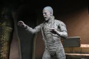 Universal Monsters Ultimate Mummy (Color) Action Figure Neca