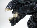 Alien Queen 1/4 Scale Bust by Sideshow