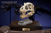 T-Rex Head Skull Scaled Replica Statue By Star Ace