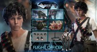 Flight Officer 1/6 Scale Collectible Figure Present Toys PT-60