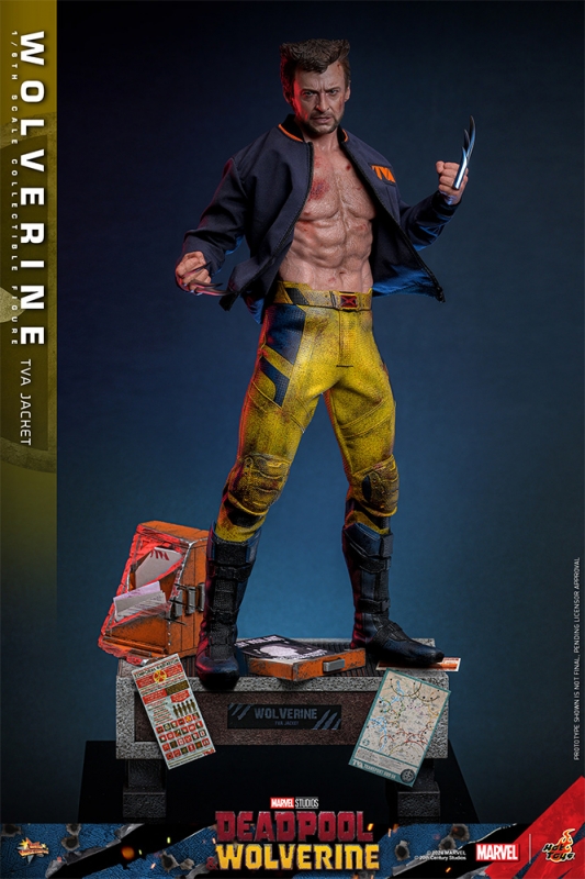 Deadpool & Wolverine Wolverine TVA Jacket 1/6 Scale Figure by Hot Toys - Click Image to Close