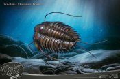 Trilobites Wonders of the Wild Series Miniature Frame w/ 1:1 Scale Replica (Normal Ver.)