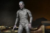 Universal Monsters Ultimate Mummy (Color) Action Figure Neca