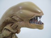 Alien 1979 Alien Chest Burster Life-Size Prop Replica