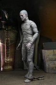 Universal Monsters Ultimate Mummy (Color) Action Figure Neca