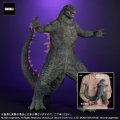 Godzilla x Kong: The New Empire (2024) Godzilla Evolved Version Larg Size Figure by X-Plus Japan