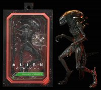 Alien Romulus 2024 Ultimate Scorched Xenomorph 7-Inch Scale Action Figure