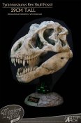 Tyrannosaurus Rex Skull Museum Display Statue by Star Ace Wonders of the Wild Collection