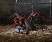 Thing, The (1982) Ultimate Dog Creature Figure Set by Neca