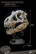 Tyrannosaurus Rex Skull Museum Display Statue by Star Ace Wonders of the Wild Collection