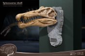 Spinosaurus Head Skull Scaled Replica Statue by Star Ace