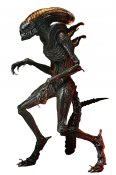 Alien Romulus 2024 Ultimate Scorched Xenomorph 7-Inch Scale Action Figure