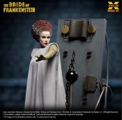 Frankenstein Bride of Frankenstein 1935 1/8 Scale Plastic Model Kit By X-Plus Elsa Lanchester Universal Monsters