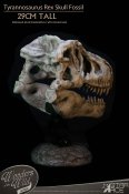 Tyrannosaurus Rex Skull Museum Display Statue by Star Ace Wonders of the Wild Collection