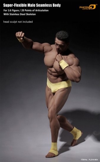 1/6 Flexible Steel Male Seamless Body Custom Figure TB league Phicen –  www.scifi-toys.com