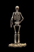 Jason And The Argonauts Skeleton Army STAND ALONE Model KIt