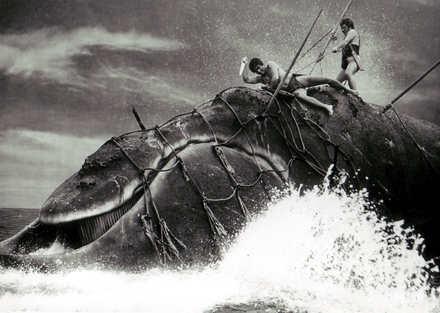 Whale God (1962) 35mm Widescreen DVD Takashi Shimura - Click Image to Close