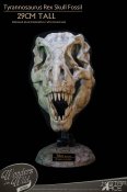 Tyrannosaurus Rex Skull Museum Display Statue by Star Ace Wonders of the Wild Collection