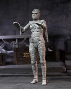 Universal Monsters Ultimate Bride of Frankenstein (Color) Action Figure Neca