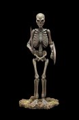 Jason And The Argonauts Skeleton Army STAND ALONE Model KIt