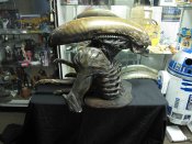 Alien Resurection Life Size Alien Xenomorph Bust Display