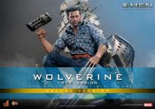 Wolverine 1973 Version Deluxe 1/6 Scale Figure by Hot Toys