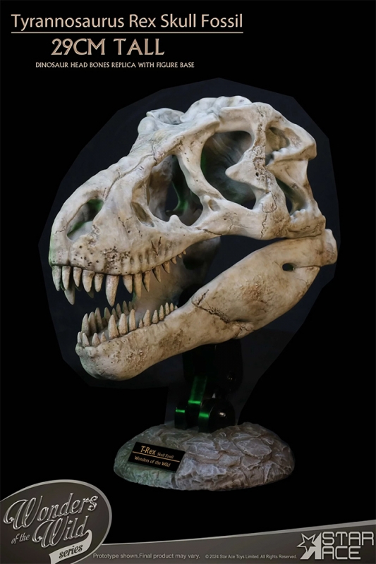 Tyrannosaurus Rex Skull Museum Display Statue by Star Ace Wonders of the Wild Collection - Click Image to Close