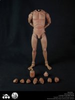 Male Body 1/4 Scale 18 Inch Figure