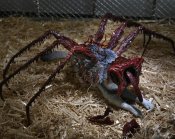 Thing, The (1982) Ultimate Dog Creature Figure Set by Neca