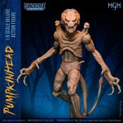 Pumpkinhead 1/6 Scale Deluxe Limited Edition Action Figure