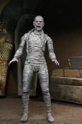 Universal Monsters Ultimate Mummy (Color) Action Figure Neca