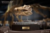 Spinosaurus Head Skull Scaled Replica Statue by Star Ace