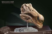 Spinosaurus Head Skull Scaled Replica Statue by Star Ace