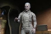 Universal Monsters Ultimate Mummy (Color) Action Figure Neca