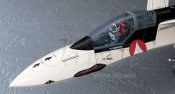 Macross Plus YF-19 Valkyrie Fighter Isamu 1/48 Model Kit by Hasegawa