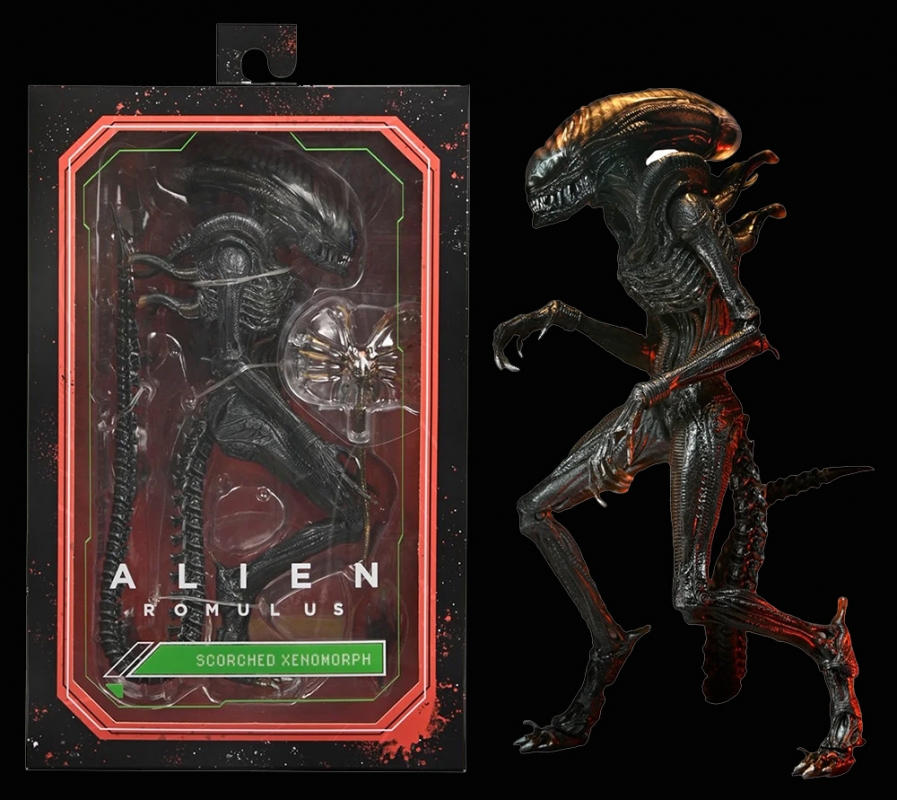 Alien Romulus 2024 Ultimate Scorched Xenomorph 7-Inch Scale Action Figure - Click Image to Close