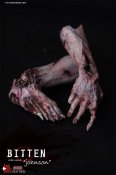 Bitten Series Johnson Zombie 1/6 Scale Figure by Asmus