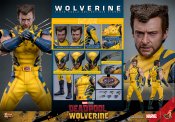 Deadpool & Wolverine Wolverine Deluxe 1/6 Scale Figure by Hot Toys